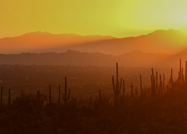 Yellow and orange sunset over hills and cactus
