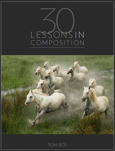 30 Lessons in Composition