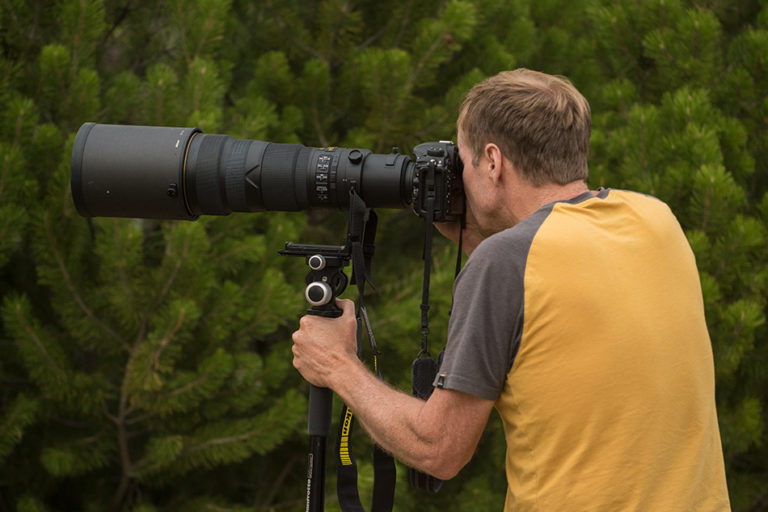 When and how to use a monopod. Tom Bol Photography, LLC