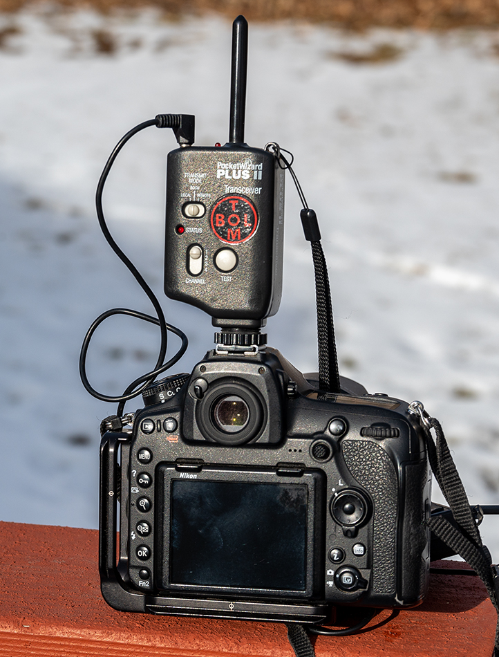 nikon remote photography