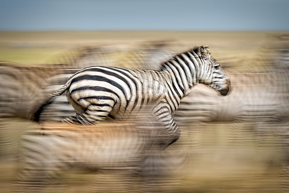 people in motion, ICM-Intentional Camera Movement, FRANcisco